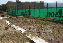 Реконструкция и изграждане на езеро за ПП нужди, сухо езеро и плантация на Англо-Американси Колеж – гр. София